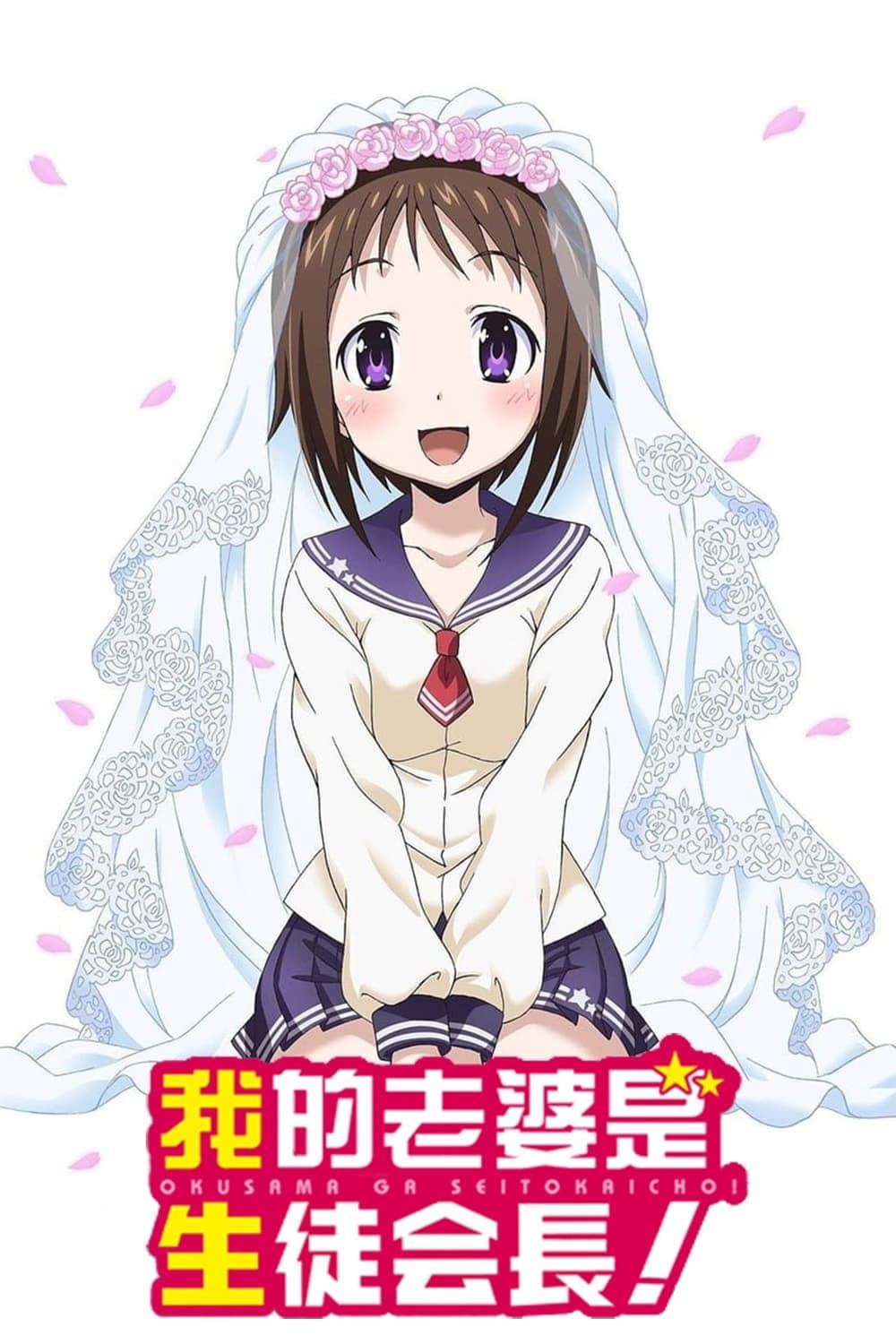 Okusama ga Seitokaichou!