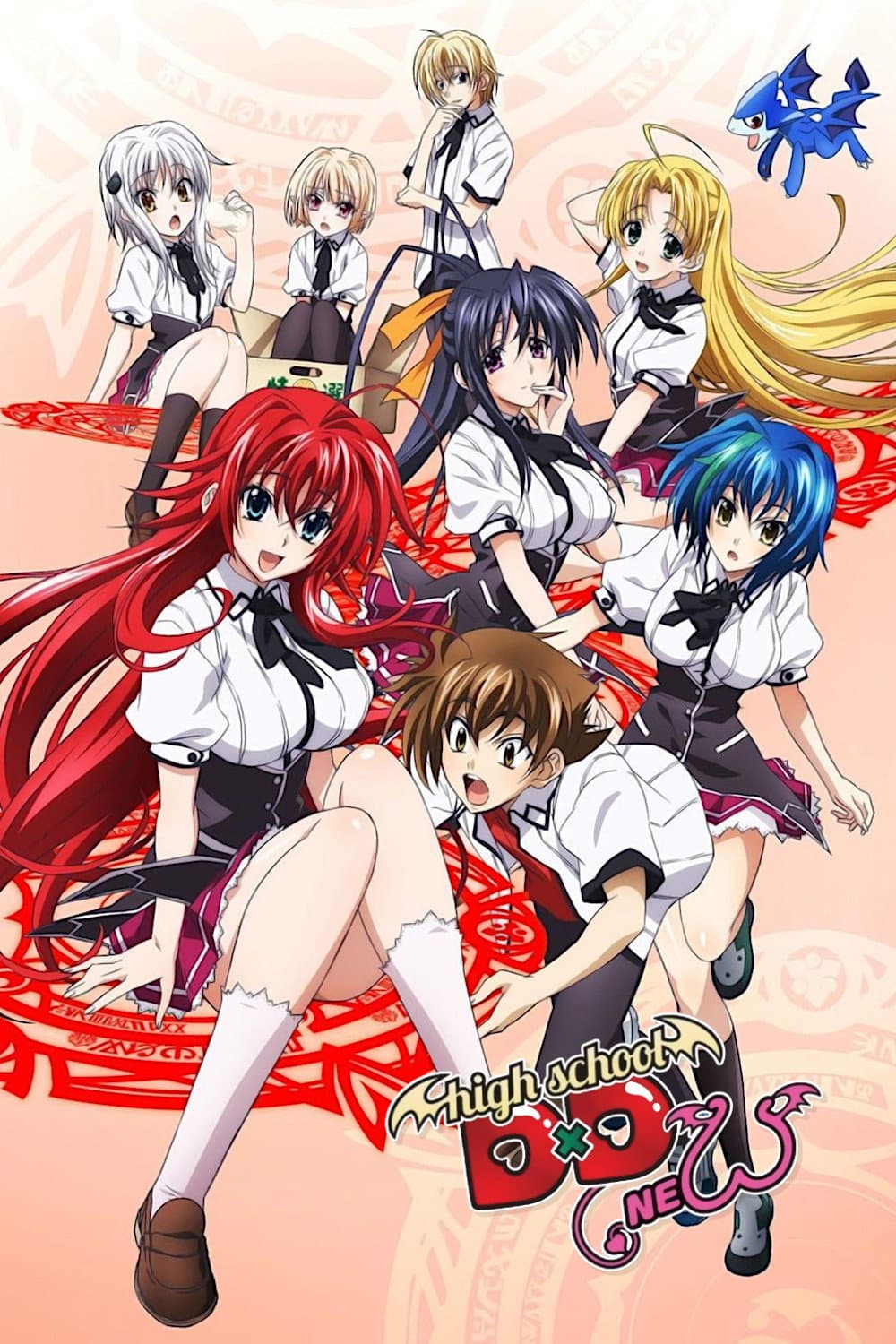 Старшая школа DxD New