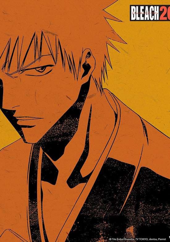 Bleach 20th PV