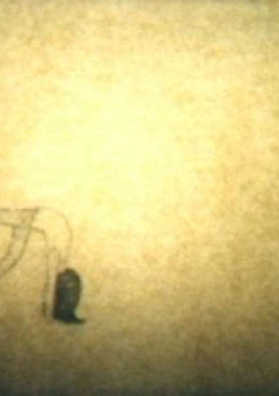 Kodomo no Kaitei no Koto