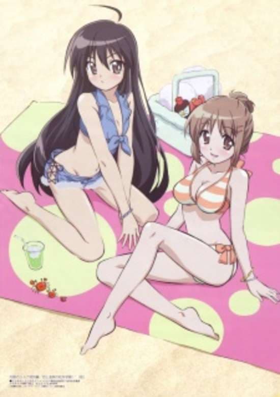 Shakugan no Shana: Koi to Onsen no Kougai Gakushuu!