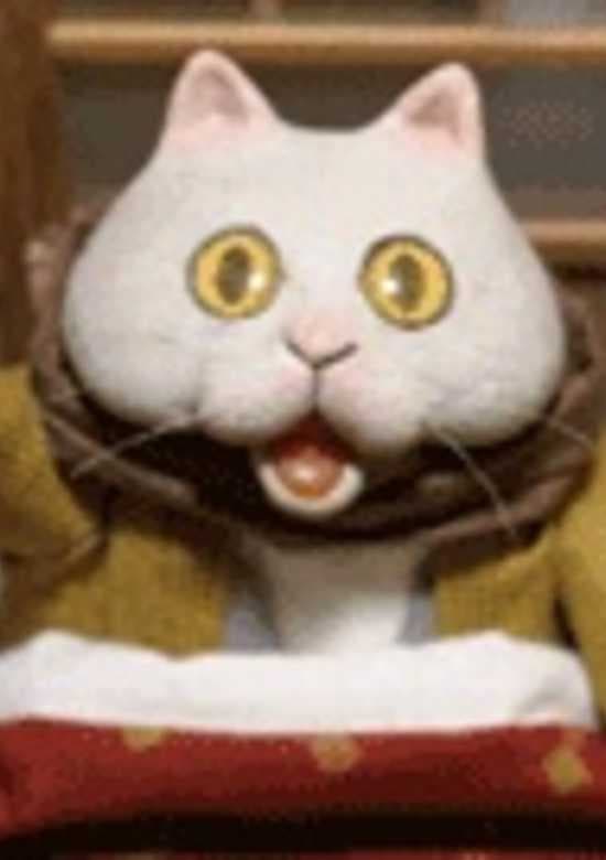 Kotatsu Neko