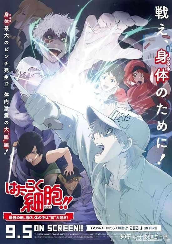 Hataraku Saibou!! Saikyou no Teki, Futatabi. Karada no Naka wa "Chou" Oosawagi!