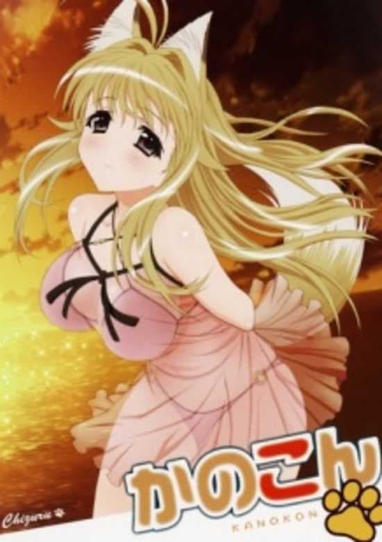 Kanokon: Manatsu no Dai Shanikusai Specials