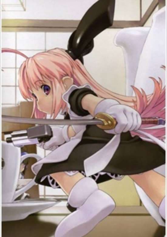 Ichigeki Sacchuu!! Hoihoi-san