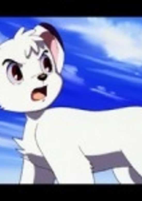 Jungle Taitei (2000)